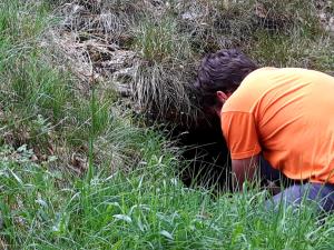 Naravna dediščina ob Veliki vodi, snemanje medvedjega brloga, Manuel Tomšič